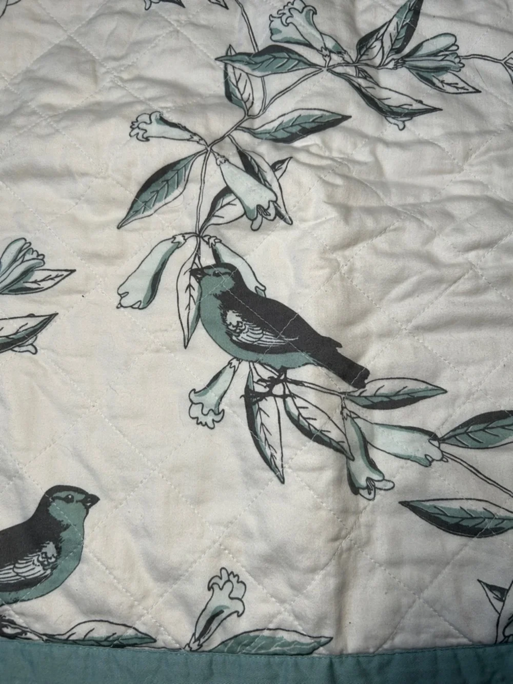 Coastal Grandma Botanical Bird Reversible Piped Border Pillow Shams Discontinued